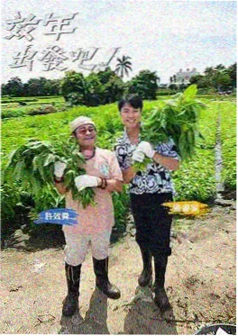 小镇四点钟 生活综艺